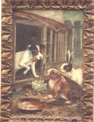04 Animales 5