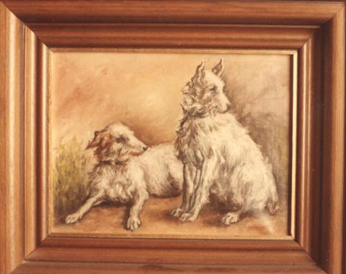 05 Animales 8