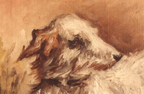 06 Animales 8-A