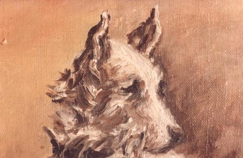 07 Animales 8-B