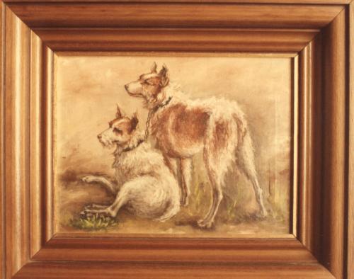 08 Animales 9