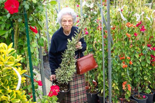 5-07 - 20040521-2_mama_vivero